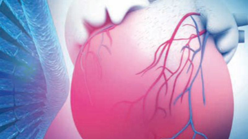 VORANKÜNDIGUNG: Gene und Herz - Klinischer Nutzen der Kardiogenetik